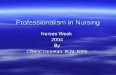 Profesionalismo en enfermeria