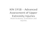Kin 191 B – Head Anatomy, Evaluation And Injuries