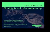 An atlas of surgical anatomy
