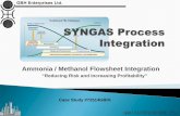 SYNGAS Process Integration