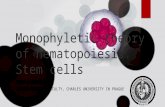 Monophyletic theory of hematopoiesis. Stem cells.