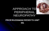 Approach to Peripheral Neuropathy