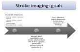 Acute stroke 2010