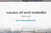 Causes of oral bad odor  intrinsic