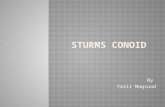 Sturms conoid