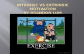Intrinsic vs extrinsic motivation