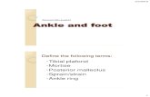 Ankle And Foot