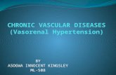 Chronic vascular diseases (vasorenal hypertension)