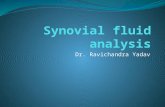 Synovial fliud analysis