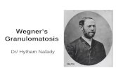 Wegner's granulomatosis