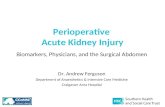 Perioperative acute kidney injury