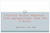 Critical access hospital CLAS perspectives from the C-suite