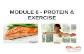 Module 6   mcc sports nutrition credit course- protein and exercise
