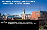 Supporting Knowledge Mobilization at Université du Québec à Montréal