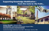 Supporting Knowledge Mobilization : From the roots to the fruits...