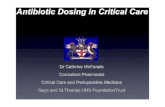 Antibiotic Dosing in critical care Catherine mc kenzie