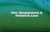 Pain an palliative care