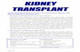 Kidney Transplant Questions and Answers