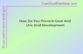 How Do You Prevent Gout And Uric Acid Development