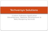 Custom Software Development Company - Techversys solutions