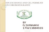 ion exchange and gel permetion chromatography