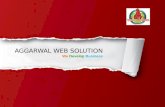 Aggarwal web solution, online marketing service, website service delhi, advertising service
