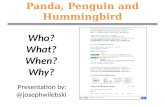Panda, Penguin, Hummingbird