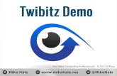 Twibitz Profile Reports Technical Overview