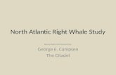 George Campsen's North Atlantic Right Whale Independent Study Powerpoint Presentation