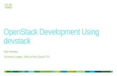 OpenStack Development Using devstack