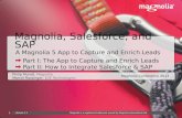Magnolia, Salesforce and SAP: a Magnolia 5 App to Capture and Enrich Leads