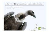 Solving BIG problems with Open Source: Condor