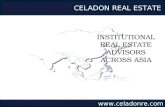 Celadon Real Estate Advisors - Profile
