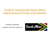 South African Investment Environment and Business Opportunities