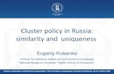 Cluster policy in Russia: similarity and uniqueness
