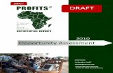 Nov 2010   opportunity assessment