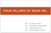 4 Pillars of india