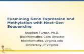 Examining gene expression and methylation with next gen sequencing