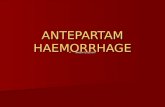 Antepartam haemorrhage