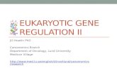 Eukaryotic gene regulation PART II 2013