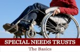 Special Needs Trusts: The Basics