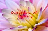 Main contract of agency1