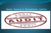 Human resource management audits