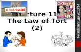 Lecture 11  law of tort