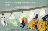 Understanding and Working with Agile Culture - PMI-SOC