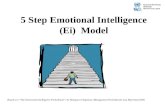5 Step Ei Model