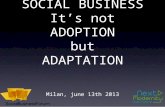 Social Business : from user adoption to business adaptation