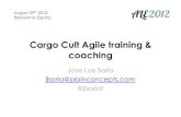 Cargo Cult Agile training & coaching