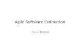 Agile Software Estimation