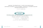 EFFECT OF INTRINSIC AND EXTRINSIC MOTIVATION FACTORS ON EMPLOYEE PERFORMANCE